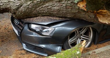 What Does Comprehensive Car Insurance Cover 2026