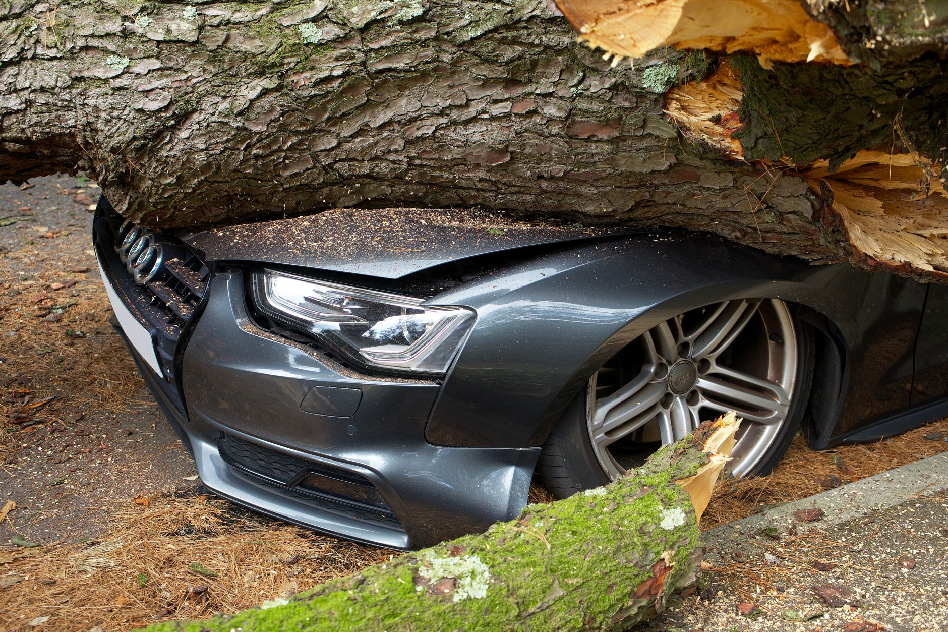What Does Comprehensive Car Insurance Cover 2026