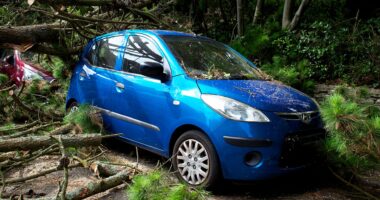 What Is Collision Coverage 2026 Guide